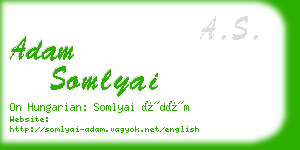 adam somlyai business card